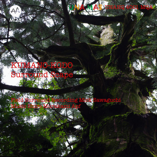 嗯～啊哈，还要～h
